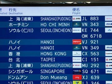 アン君　一時帰国