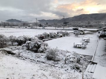 お宿