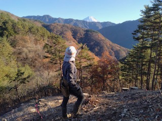 紅葉と遠くに富士山
