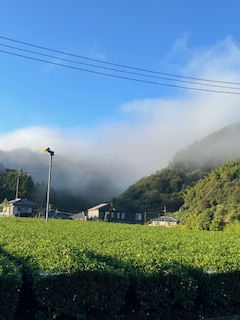 朝の作業場